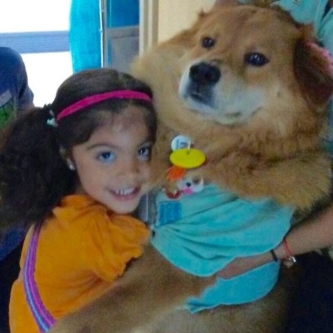 Bruno + Zeus Love | Ale Ramos Therapy Animals