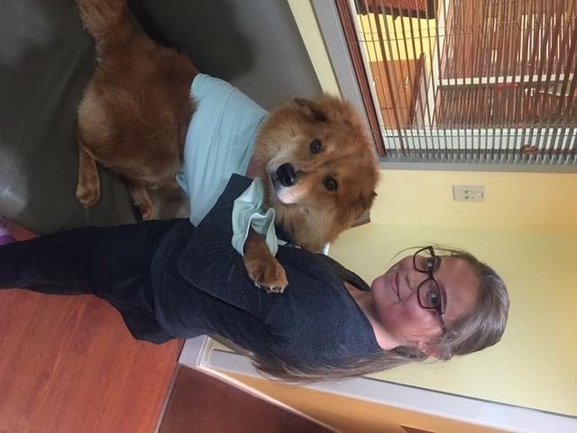 Bruno + Zeus Love | Ale Ramos Therapy Animals