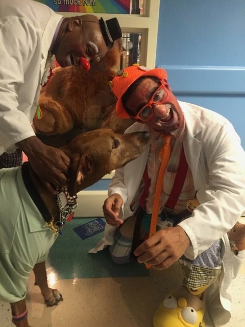 Bruno + Zeus Love | Ale Ramos Therapy Animals