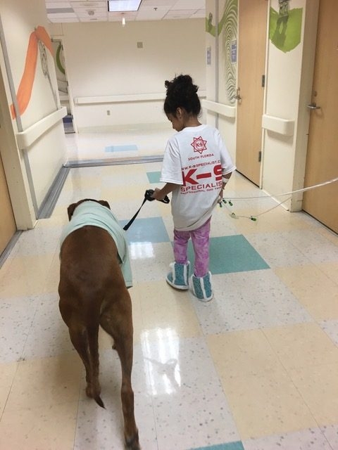 Bruno + Zeus Love | Ale Ramos Therapy Animals