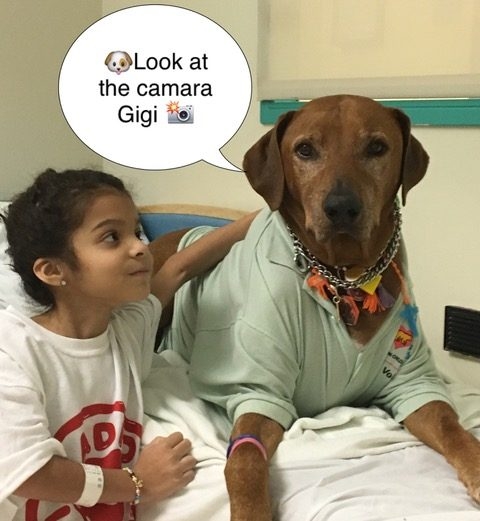 Bruno + Zeus Love | Ale Ramos Therapy Animals