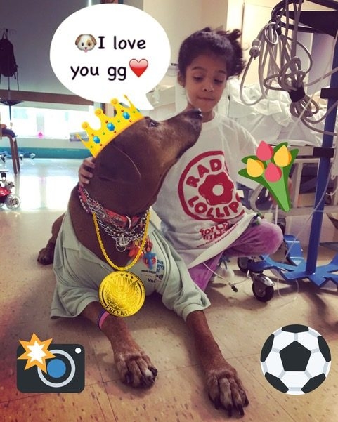 Bruno + Zeus Love | Ale Ramos Therapy Animals