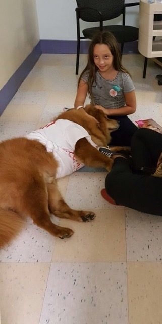 Bruno + Zeus Love | Ale Ramos Therapy Animals