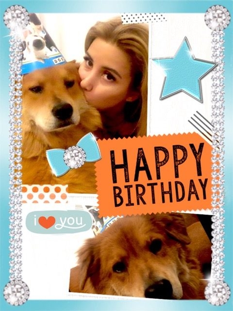 Bruno + Zeus Love | Ale Ramos Therapy Animals