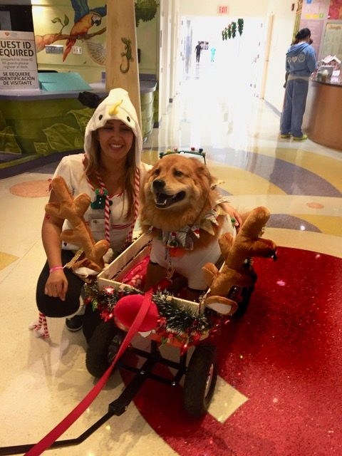 Christmas Celebration at Nicklaus Children Hospital | Ale Ramos Therapy Animals