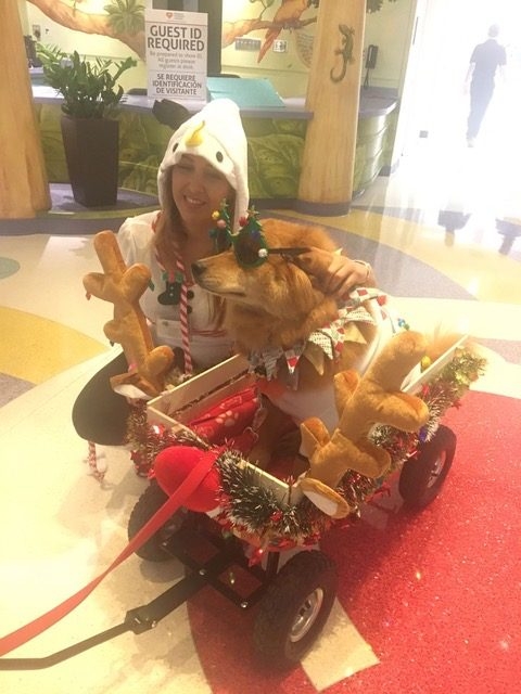 Christmas Celebration at Nicklaus Children Hospital | Ale Ramos Therapy Animals