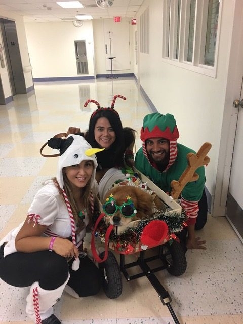 Christmas Celebration at Nicklaus Children Hospital | Ale Ramos Therapy Animals