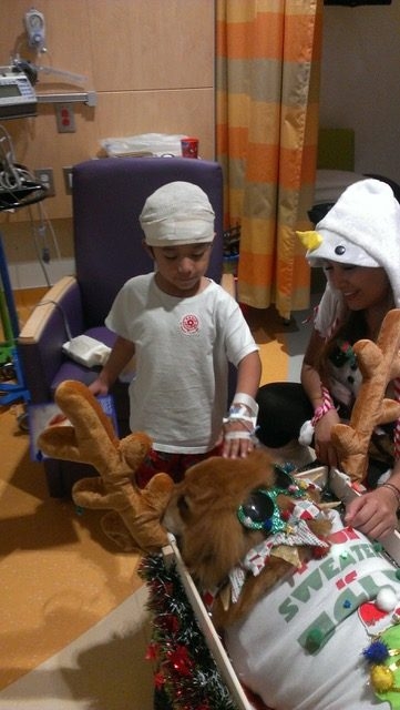 Christmas Celebration at Nicklaus Children Hospital | Ale Ramos Therapy Animals