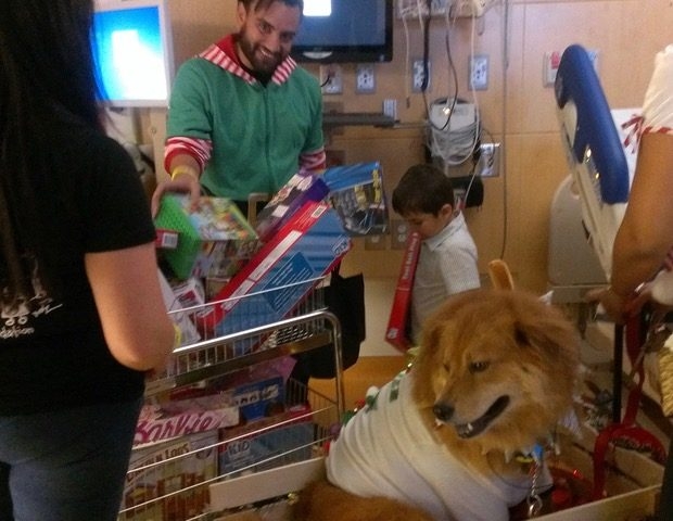 Christmas Celebration at Nicklaus Children Hospital | Ale Ramos Therapy Animals