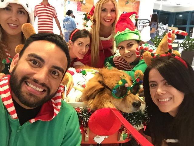 Christmas Celebration at Nicklaus Children Hospital | Ale Ramos Therapy Animals