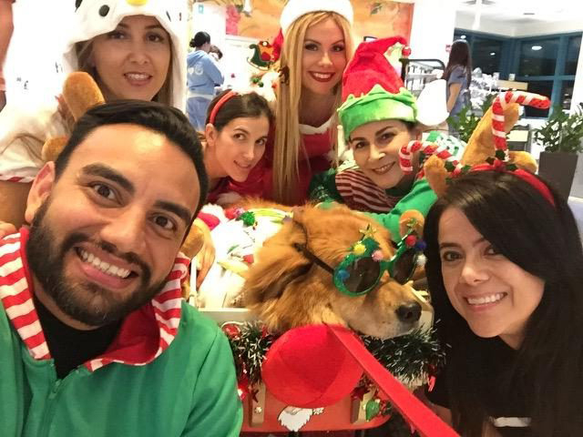 Christmas Celebration at Nicklaus Children Hospital | Ale Ramos Therapy Animals