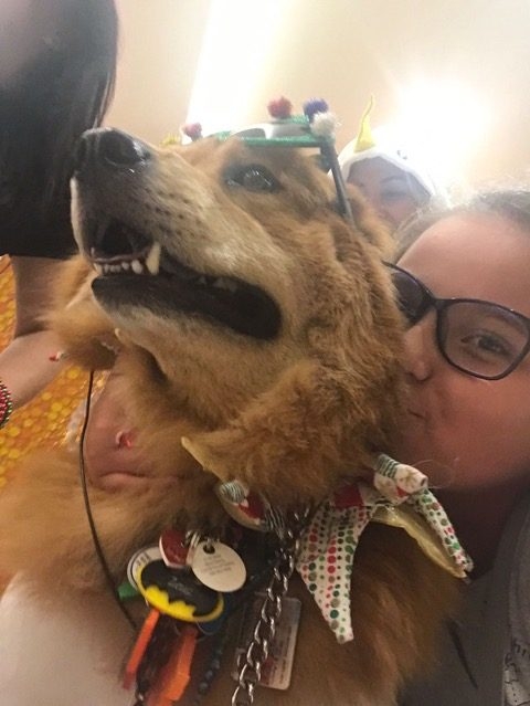 Christmas Celebration at Nicklaus Children Hospital | Ale Ramos Therapy Animals