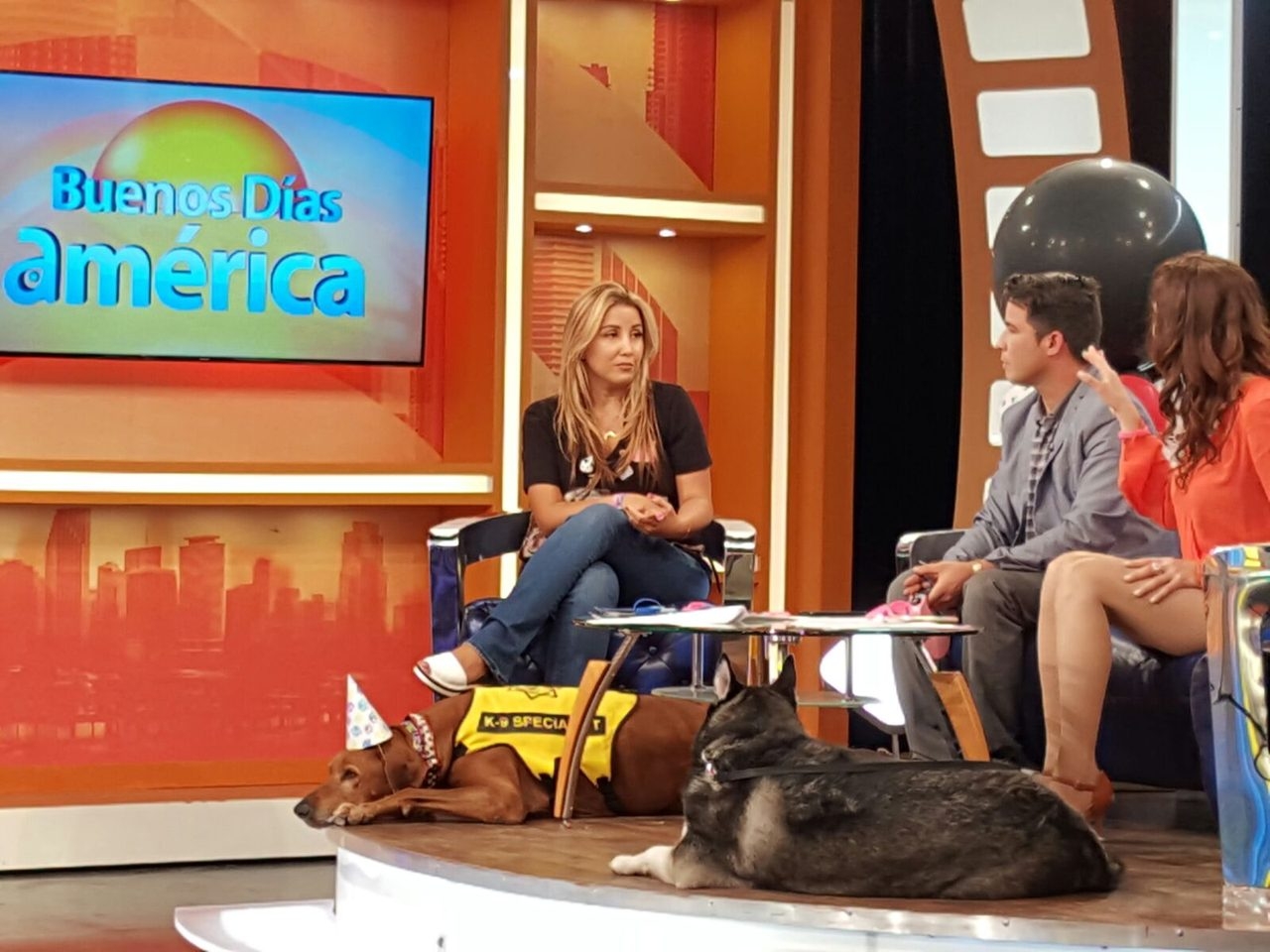 Interview at Buenos Días América | Ale Ramos Therapy Animals