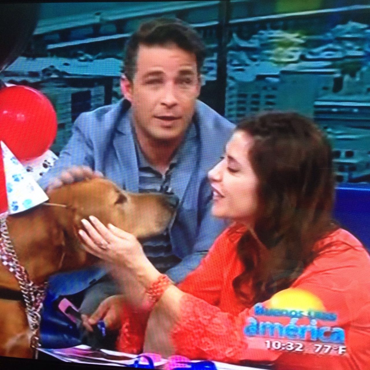 Interview at Buenos Días América | Ale Ramos Therapy Animals