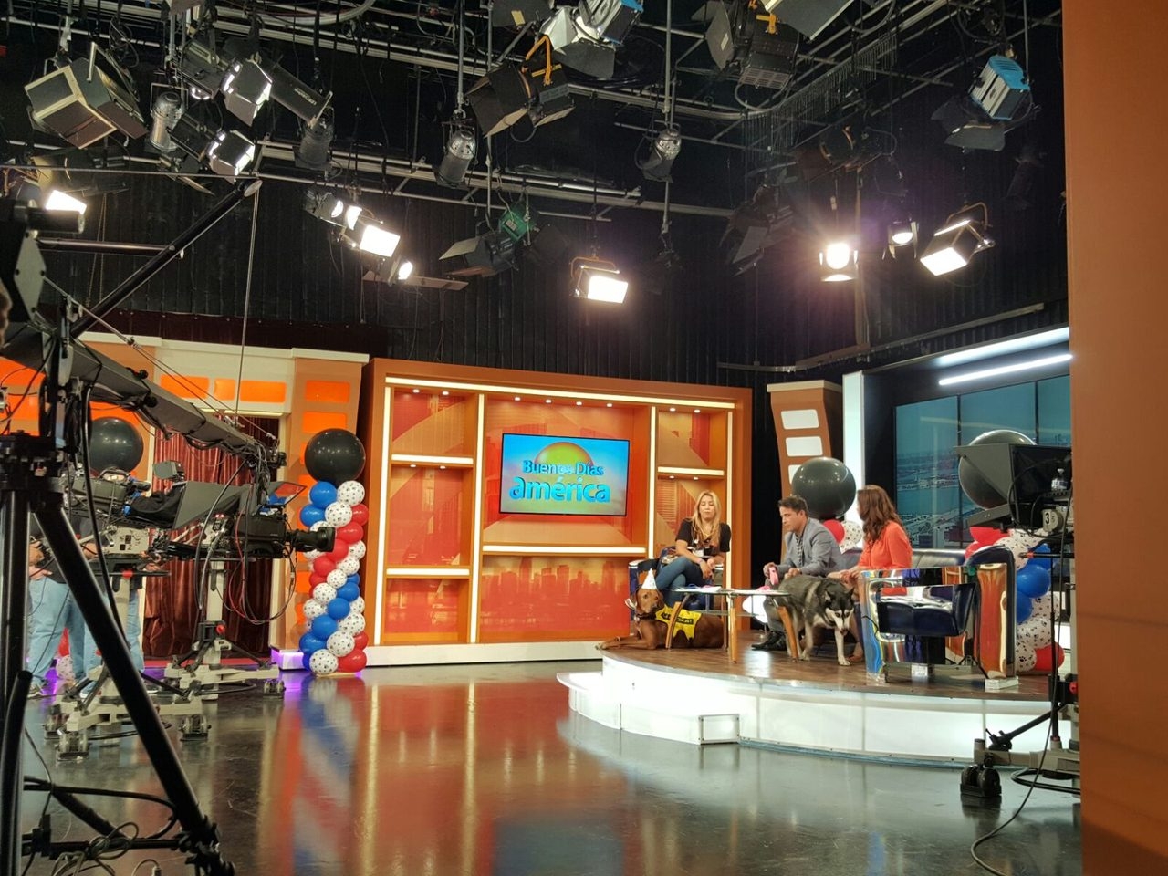 Interview at Buenos Días América | Ale Ramos Therapy Animals