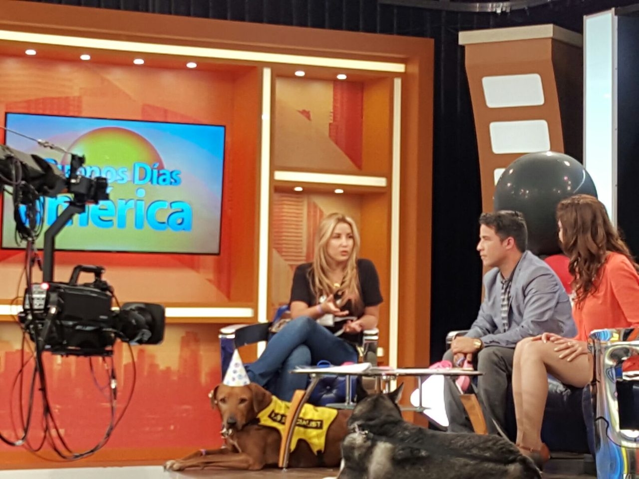 Interview at Buenos Días América | Ale Ramos Therapy Animals