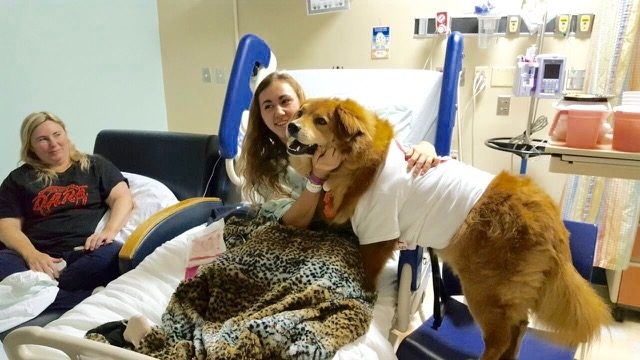 Visiting Nicklaus Children Hospital by Radio Lollipop | Ale Ramos Therapy Animals