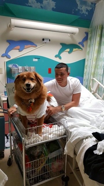 Visiting Nicklaus Children Hospital by Radio Lollipop | Ale Ramos Therapy Animals