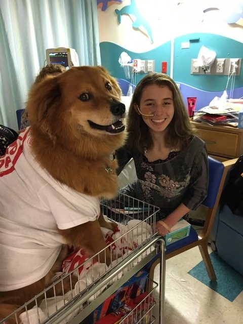 Visiting Nicklaus Children Hospital by Radio Lollipop | Ale Ramos Therapy Animals