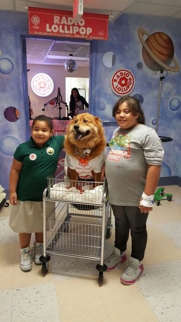 Visiting Nicklaus Children Hospital by Radio Lollipop | Ale Ramos Therapy Animals