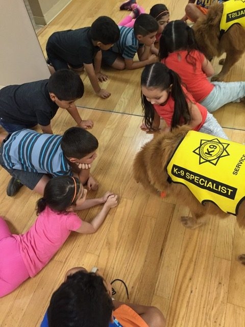 Zeus Visiting Arts Academy | Ale Ramos Therapy Animals