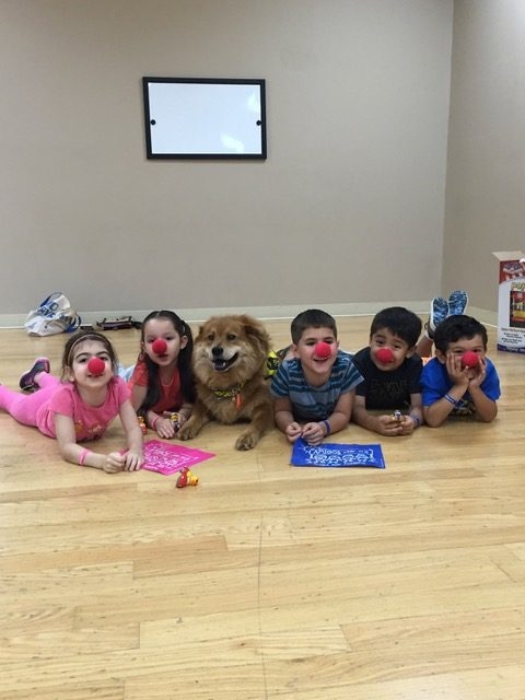 Zeus Visiting Arts Academy | Ale Ramos Therapy Animals