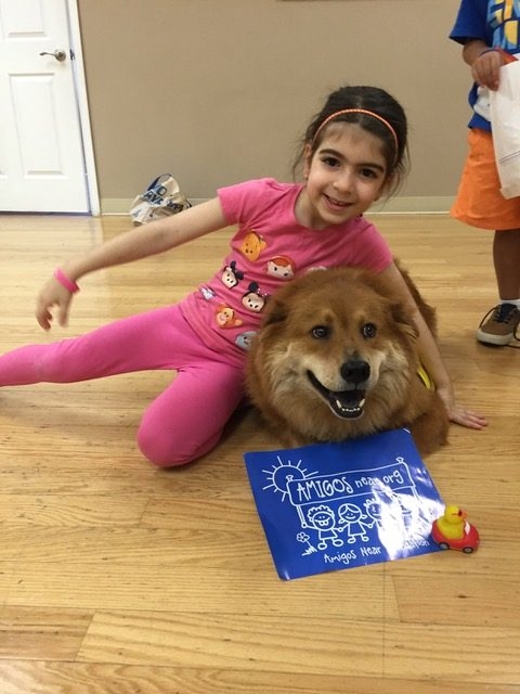 Zeus Visiting Arts Academy | Ale Ramos Therapy Animals