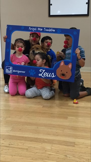 Zeus Visiting Arts Academy | Ale Ramos Therapy Animals