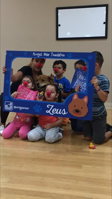 Zeus Visiting Arts Academy | Ale Ramos Therapy Animals