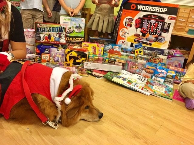 Zeus Visiting The Kids at Montessori School Christmas Time | Ale Ramos Therapy Animals