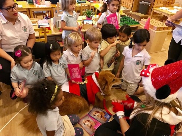 Zeus Visiting The Kids at Montessori School Christmas Time | Ale Ramos Therapy Animals