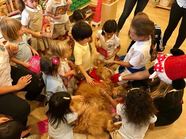 Zeus Visiting The Kids at Montessori School Christmas Time | Ale Ramos Therapy Animals