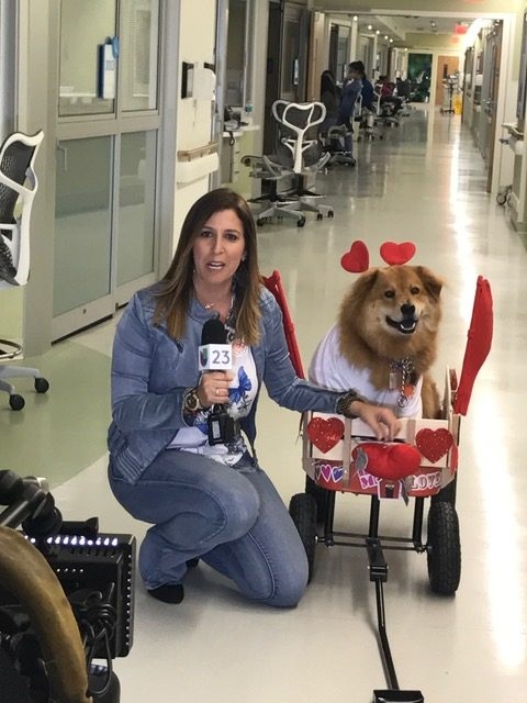 Animales 360 - Univision by Xiomara Gonzalez - Govea | Ale Ramos Therapy Animals