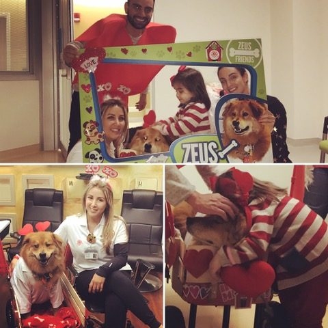 Animales 360 - Univision by Xiomara Gonzalez - Govea | Ale Ramos Therapy Animals