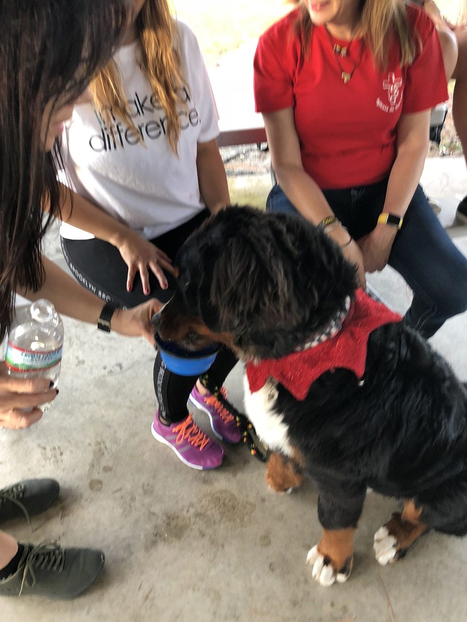 Christmas Visit His House | Ale Ramos Therapy Animals