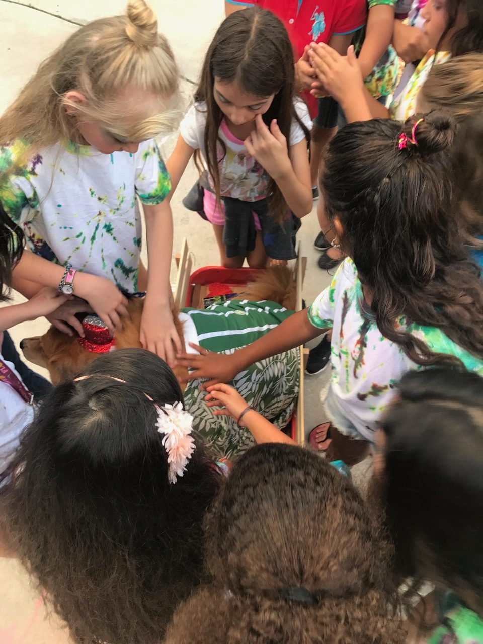 Event Camp Sunrise for Rheumatology Patients | Ale Ramos Therapy Animals