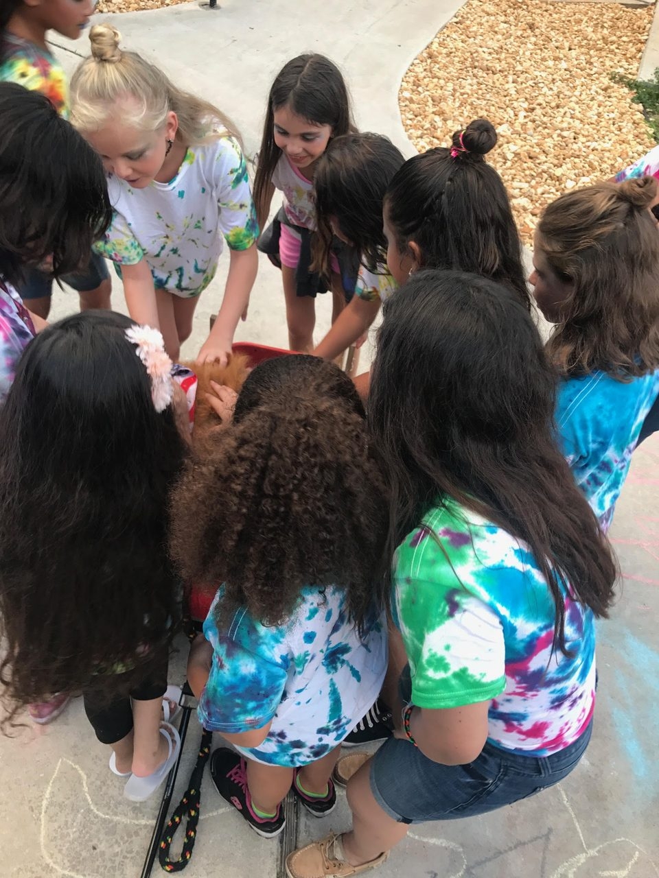 Event Camp Sunrise for Rheumatology Patients | Ale Ramos Therapy Animals