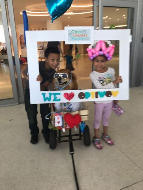 Great Glasses Play Day by Nicklaus Children’s Hospital | Ale Ramos Therapy Animals