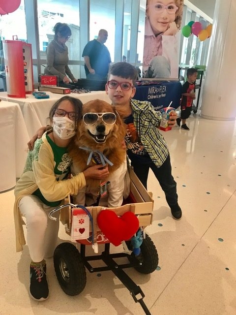 Great Glasses Play Day by Nicklaus Children’s Hospital | Ale Ramos Therapy Animals