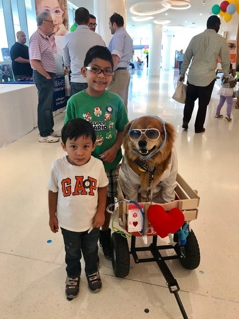 Great Glasses Play Day by Nicklaus Children’s Hospital | Ale Ramos Therapy Animals