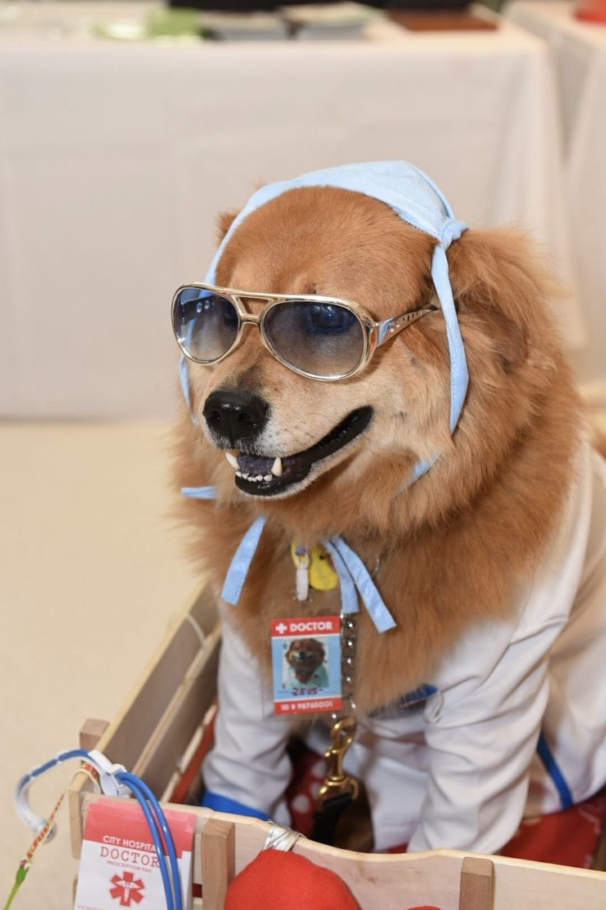 Great Glasses Play Day by Nicklaus Children’s Hospital | Ale Ramos Therapy Animals
