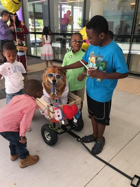 Great Glasses Play Day by Nicklaus Children’s Hospital | Ale Ramos Therapy Animals