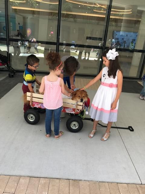 Great Glasses Play Day by Nicklaus Children’s Hospital | Ale Ramos Therapy Animals