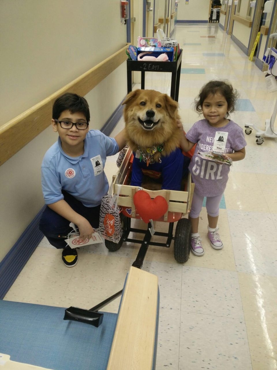 Halloween by Radio Lollipop (Nicklaus Children Hospital) | Ale Ramos Therapy Animals
