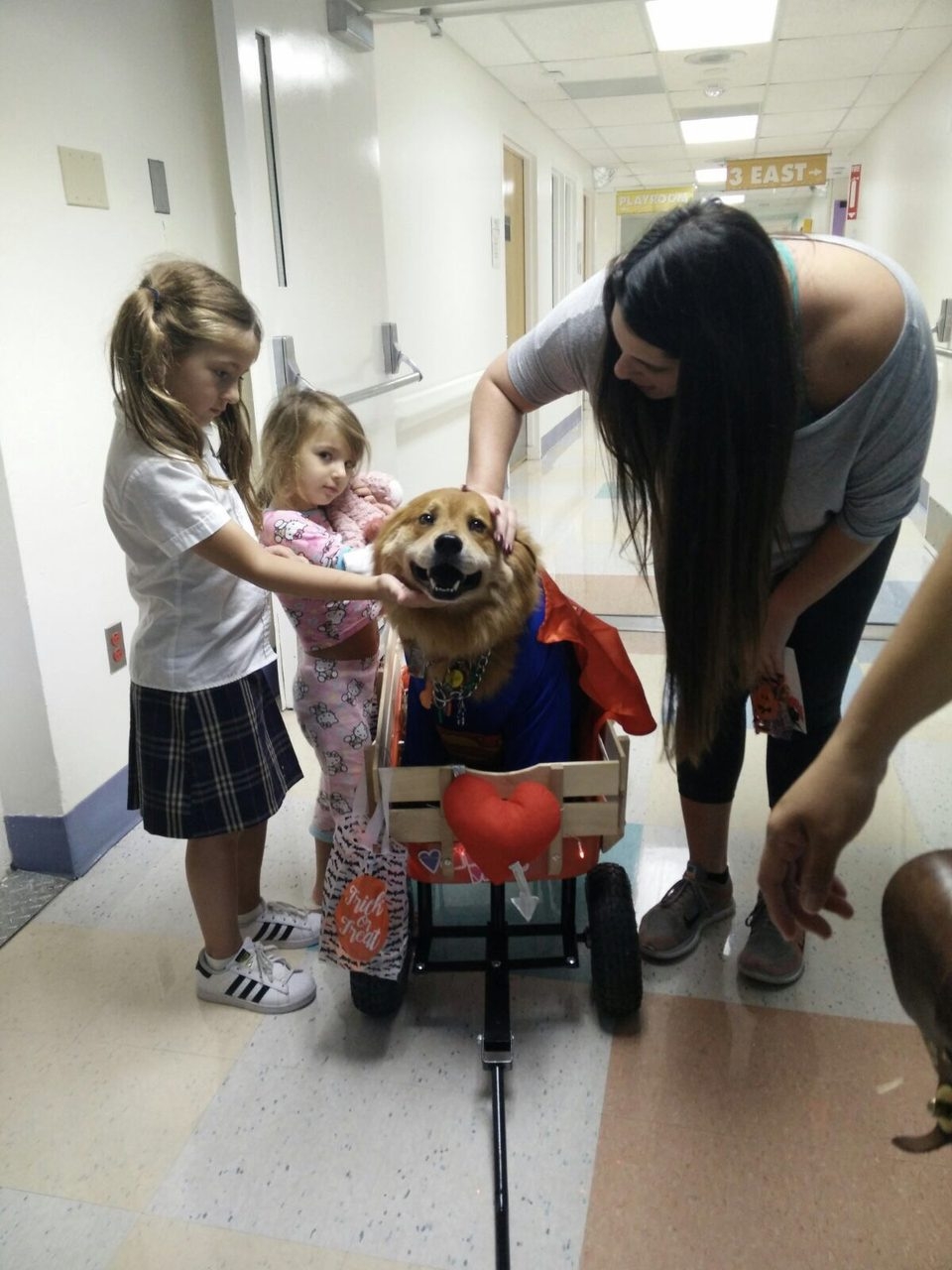 Halloween by Radio Lollipop (Nicklaus Children Hospital) | Ale Ramos Therapy Animals
