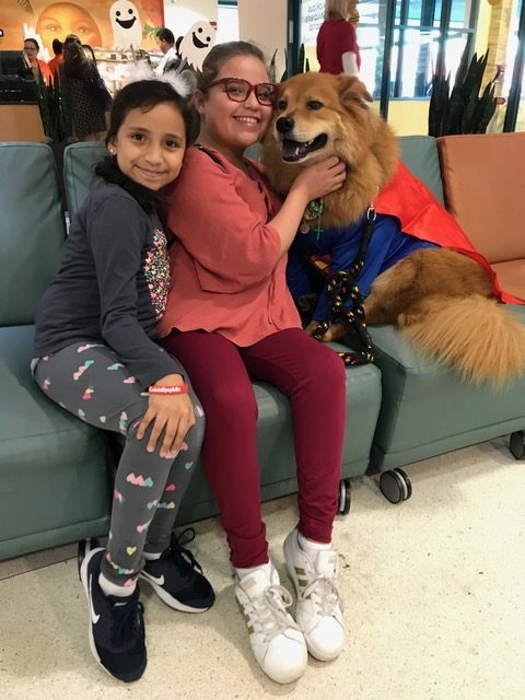 Halloween by Radio Lollipop (Nicklaus Children Hospital) | Ale Ramos Therapy Animals