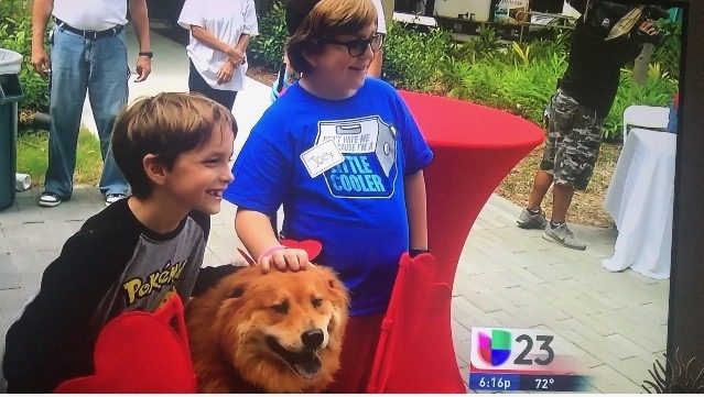 Heart Program by Nicklaus Children’s Hospital | Ale Ramos Therapy Animals