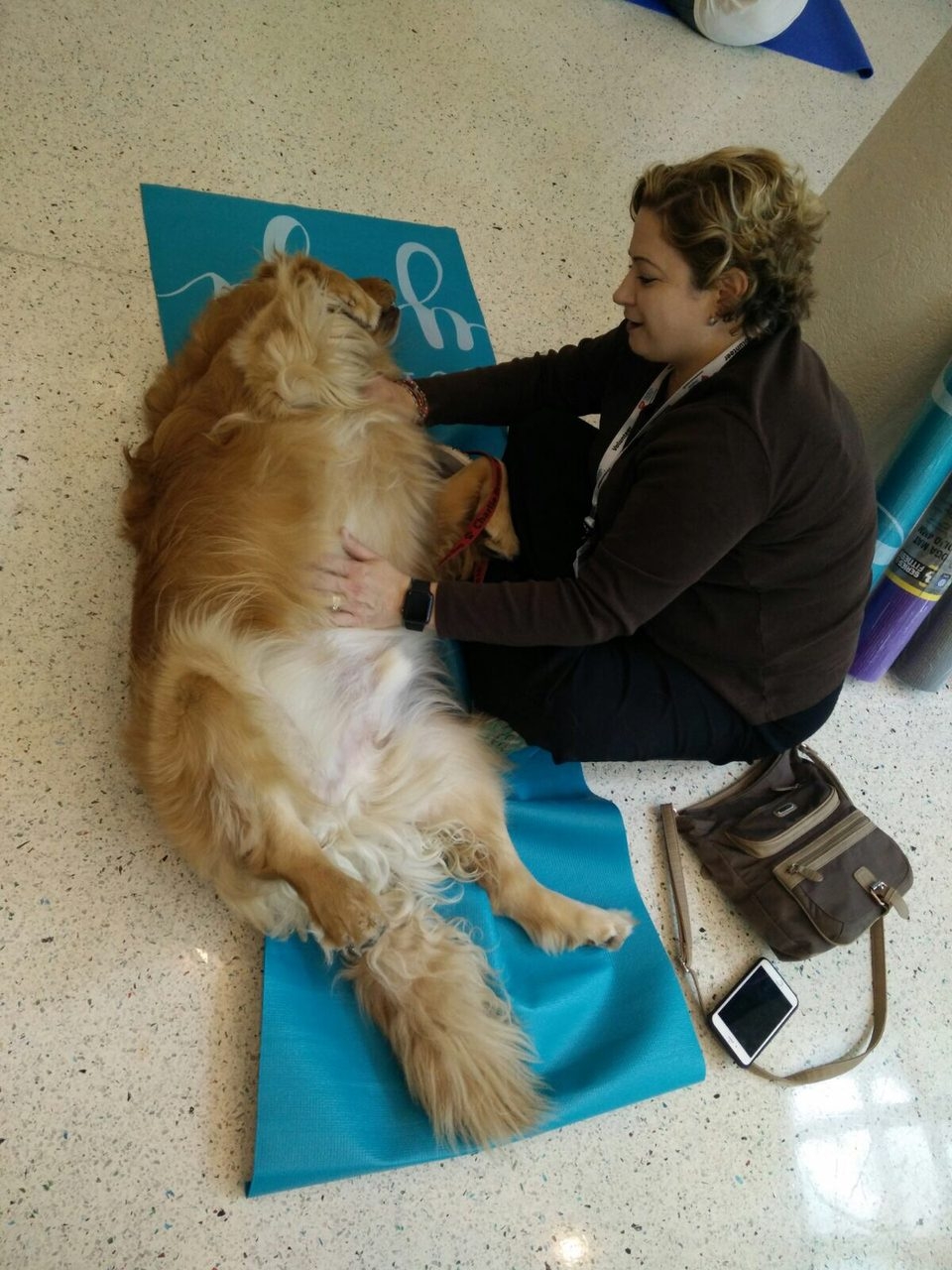 Hosting a Therapy Dog Massage Session at Nicklaus Children’s Hospital | Ale Ramos Therapy Animals