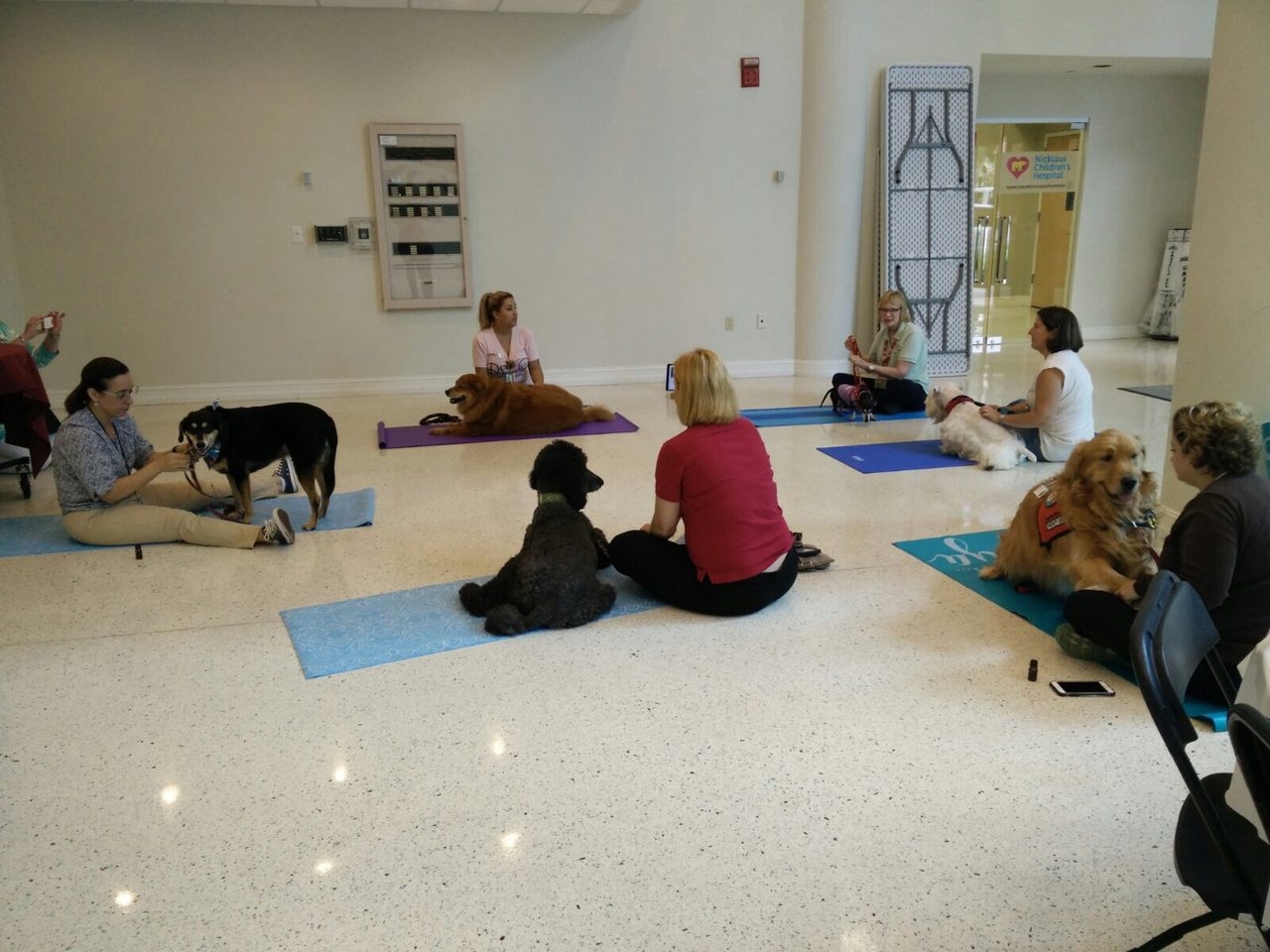 Hosting a Therapy Dog Massage Session at Nicklaus Children’s Hospital | Ale Ramos Therapy Animals