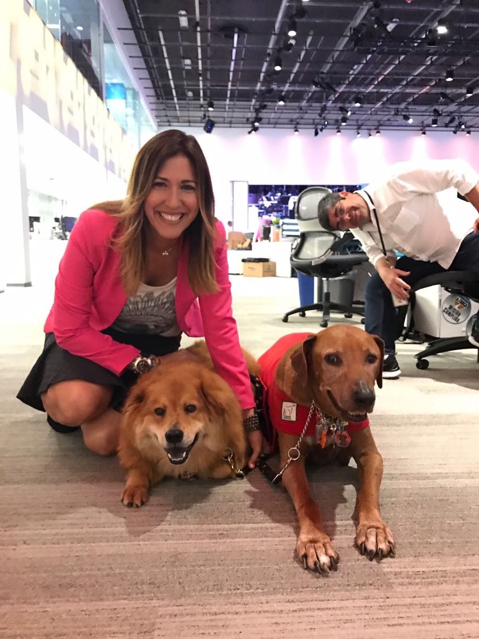 Interview #EdicionDigital on Univision | Ale Ramos Therapy Animals